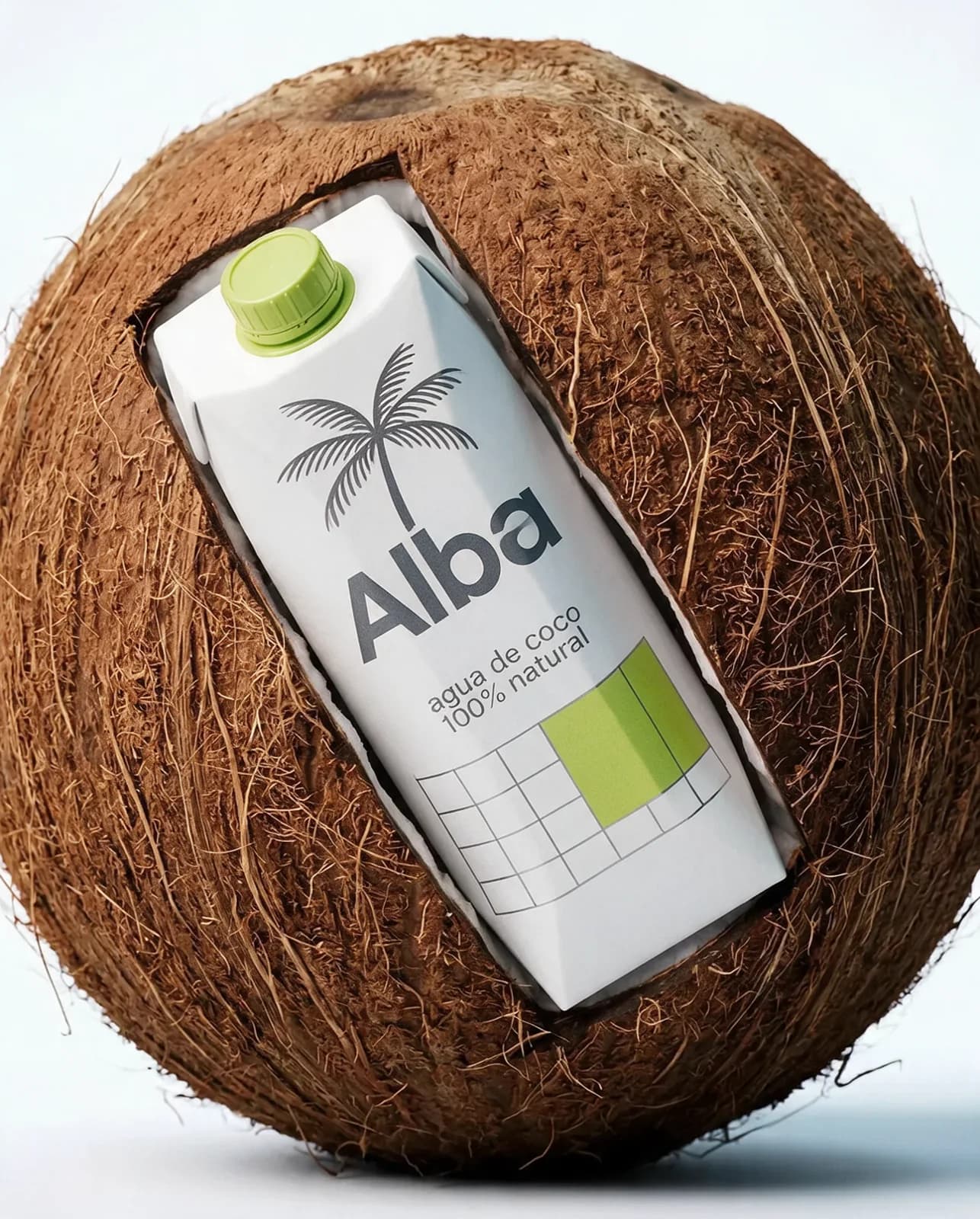 Brick de agua de coco dentro de un coco